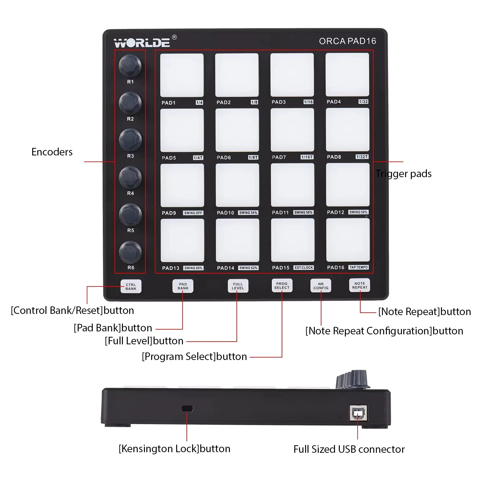 Controlador MIDI WORLDE ORCA P - Midi Controller Pad reseña y precio